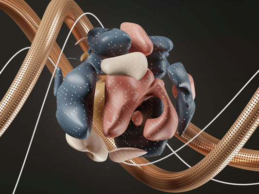 Disruptores endocrinos en cosmetica tradicional y su efecto en las hormonas